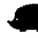 HedgeHog