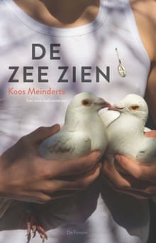 De zee zien - Koos Meinderts