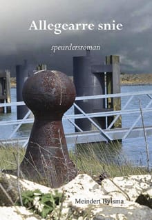 Allegearre snie - Meindert Bylsma