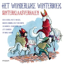 Het wonderlijke winterboek - Sinterklaasverhalen - Elisabeth Mollema, Pamela Sharon, ...