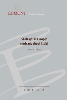 Shale gas in Europe: Much ado about little? - Tanja Zgajewski,  Agnes Verbruggen, ...