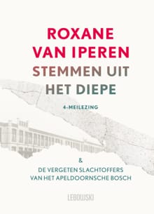 Stemmen uit het diepe - Roxane van Iperen