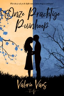 Onze prachtige puinhoop - Valerie Vaes