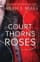 A Court of Thorns and Roses Collector's Edition
