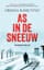 As in de sneeuw