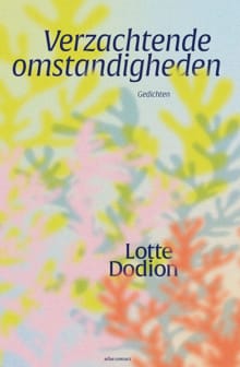 Verzachtende omstandigheden - Lotte Dodion