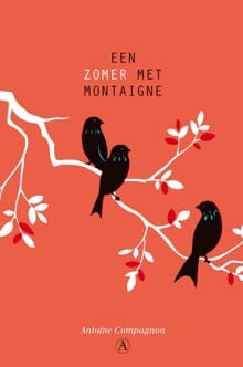 Een zomer met Montaigne - Antoine Compagnon