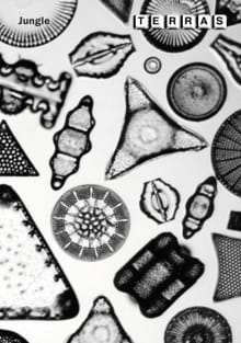 Terras 21 'Jungle' - Annie Ernaux, Mário-Henrique Leiria, ...