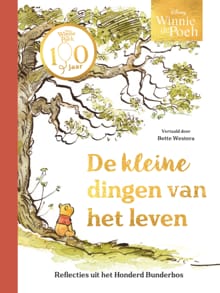 Winnie de Poeh. De kleine dingen van het leven -  Disney, Catherine Hapka