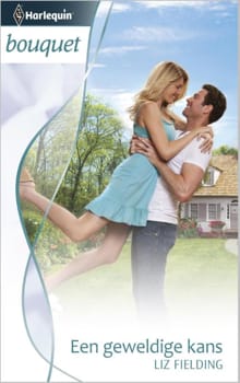 Een geweldige kans - Liz Fielding