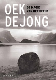 De magie van het beeld - Oek de Jong