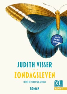 Zondagsleven (in 2 banden) - Judith Visser