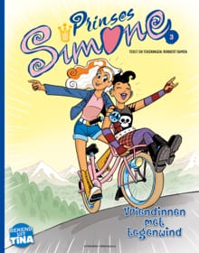 Vriendinnen met tegenwind - Robbert Damen