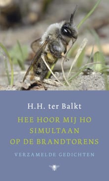 Hee hoor mij ho simultaan op de brandtorens - H.H. ter Balkt