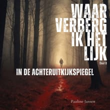 In de achteruitkijkspiegel - Pauline Jansen