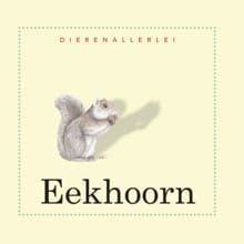 Eekhoorn - TING MORRIS