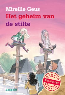 Het geheim van de stilte - Mireille Geus