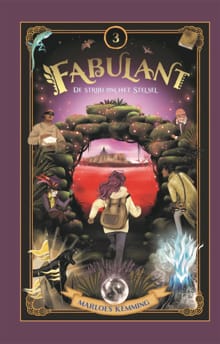 De strijd om het Stelsel - Marloes Kemming