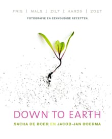 Down to earth - Sacha de Boer, Jacob Jan Boerma, ...