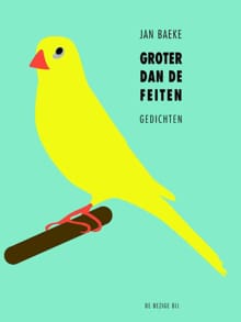 Groter dan de feiten - Jan Baeke