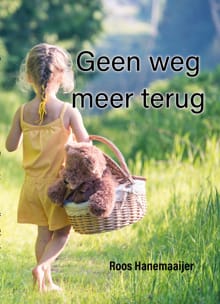 Geen weg meer terug - Roos Hanemaaijer