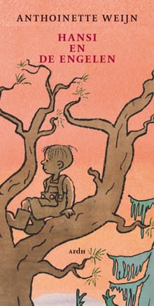 Hansi en de engelen - Antoinette Weijn