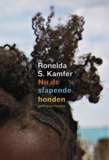 Nu de slapende honden - Ronelda S. Kamfer