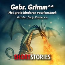 Het grote kinder voorleesboek - Gebroeders Grimm, Anneke Bloemen, ...