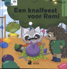 Een knalfeest voor Remi - Aag Vernelen