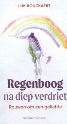 Regenboog na diep verdriet - Luk Bouckaert