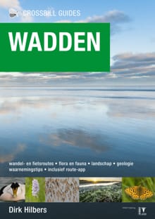 Crossbill Guide Wadden - Dirk Hilbers