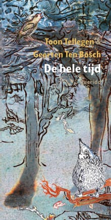 De hele tijd - Toon Tellegen