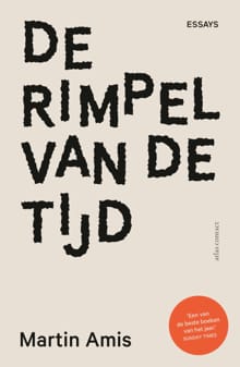 De rimpel van de tijd - Martin Amis