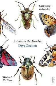 A Buzz in the Meadow - Dave Goulson