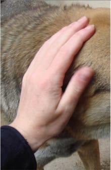 Charlotte Dumas - Charlotte Dumas