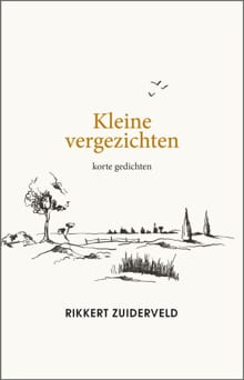 Kleine vergezichten - Rikkert Zuiderveld