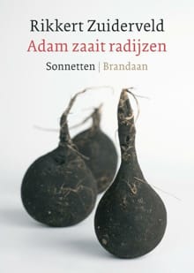 Adam zaait radijzen - Rikkert Zuiderveld