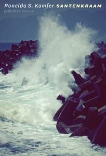 Santenkraam - Ronelda S. Kamfer