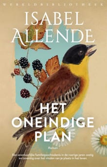 Het oneindige plan - Isabel Allende