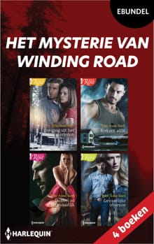 Het mysterie van Winding Road - Tyler Anne Snell