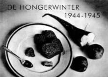 De hongerwinter 1944-1945 - Bob Van Raay, David Barnouw