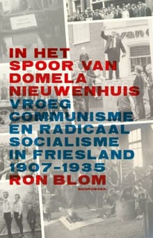 In het spoor van Domela Nieuwenhuis - Ron Blom