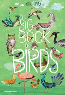 The Big Book of Birds - Yuval Zommer, BARBARA TAYLOR