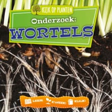 Onderzoek: Wortels - Lindsey Lowe
