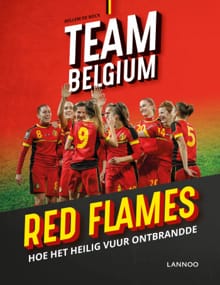 Red Flames - Willem De Bock