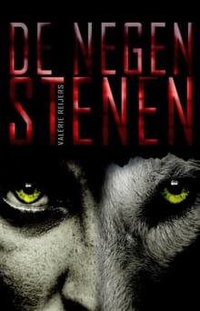 De negen stenen - Valérie Reijers