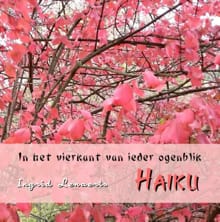 In het vierkant van ieder ogenblik - INGRID LENAERTS