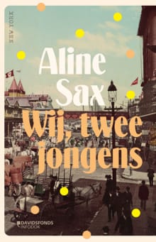 Wij, twee jongens - Aline Sax