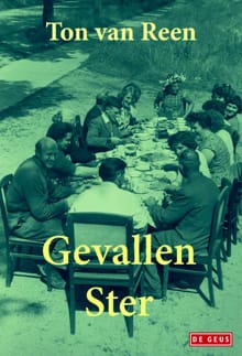 Gevallen ster - Ton van Reen