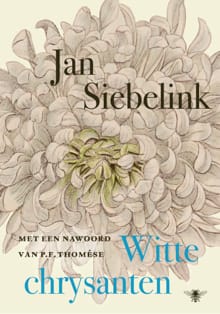 Witte chrysanten - Jan Siebelink